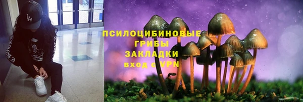 сатива Наволоки