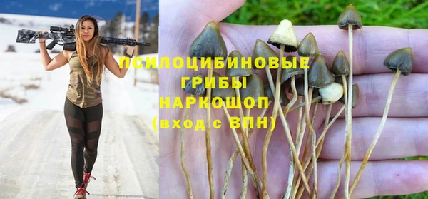 каннабис Абаза