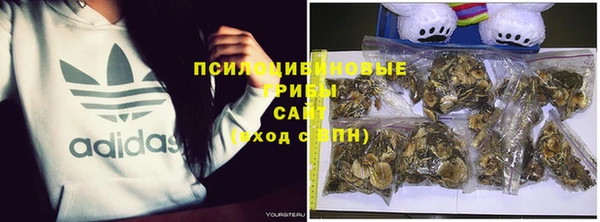 apvp Абинск